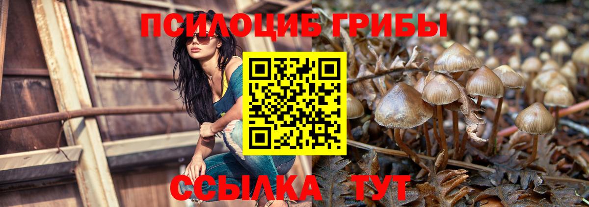 Псилоцибиновые грибы MAGIC MUSHROOMS Альметьевск